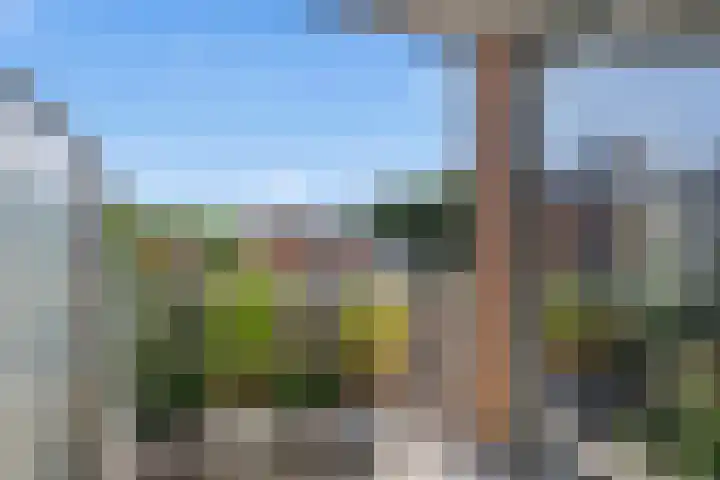 Emiclaerhof 82 Amersfoort thumbnail 25