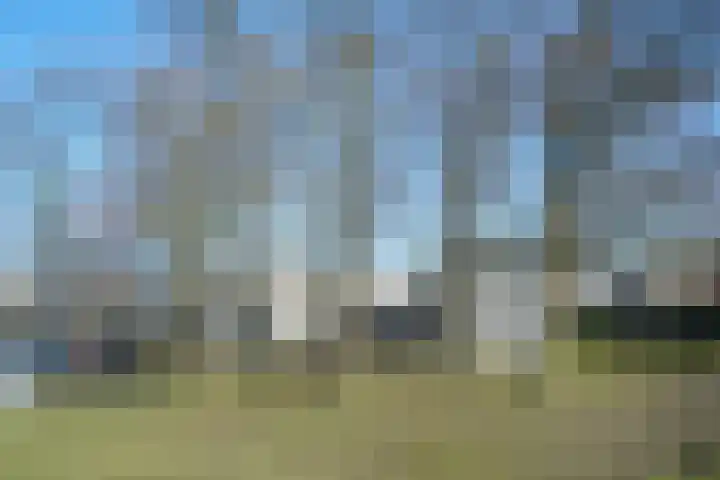 Emiclaerhof 84 Amersfoort thumbnail 32