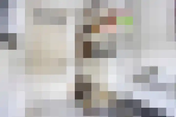Emiel van Averbekestraat 18 Breda thumbnail 21