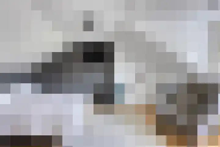 Emiel van Averbekestraat 18 Breda thumbnail 25