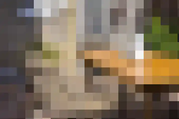 Emiel van Averbekestraat 18 Breda thumbnail 29