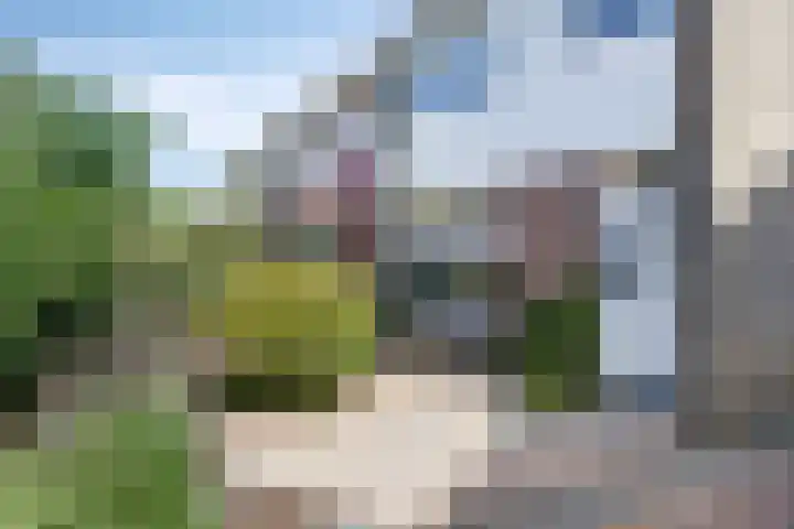 Emiel van Averbekestraat 18 Breda thumbnail 38