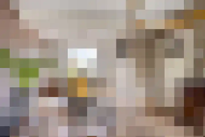 Emiel van Averbekestraat 18 Breda thumbnail 4