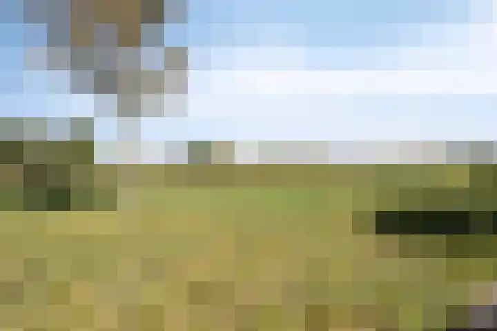 Emiel van Averbekestraat 18 Breda thumbnail 40