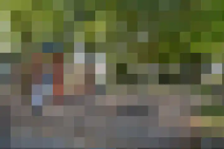 Emiel van Averbekestraat 18 Breda thumbnail 41
