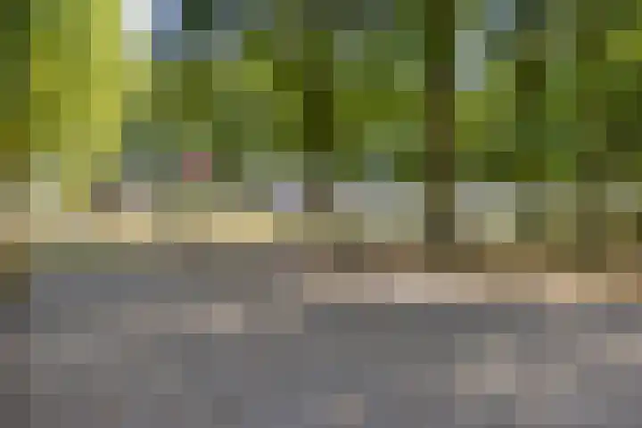 Emiel van Averbekestraat 18 Breda thumbnail 42