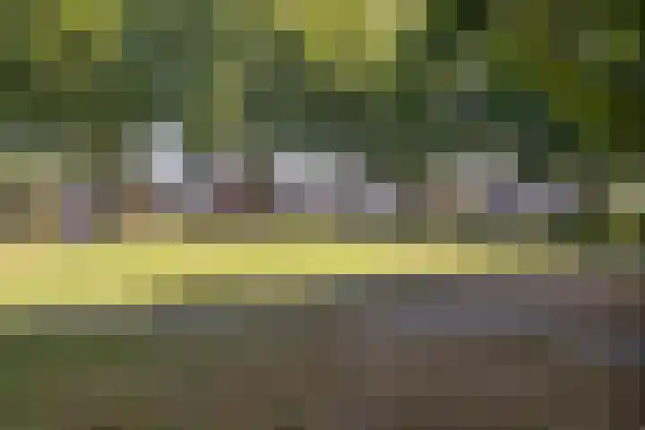 Emiel van Averbekestraat 18 Breda thumbnail 43