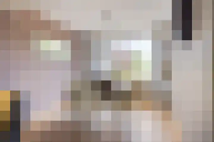 Emiel van Averbekestraat 18 Breda thumbnail 5