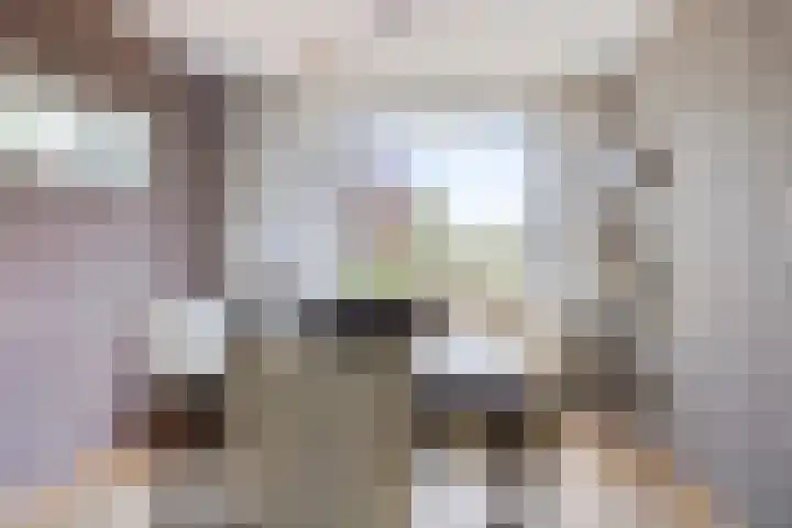 Emiel van Averbekestraat 18 Breda thumbnail 6