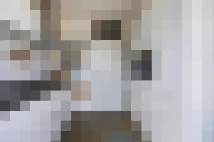 Emiel van Averbekestraat 18 Breda thumbnail 9
