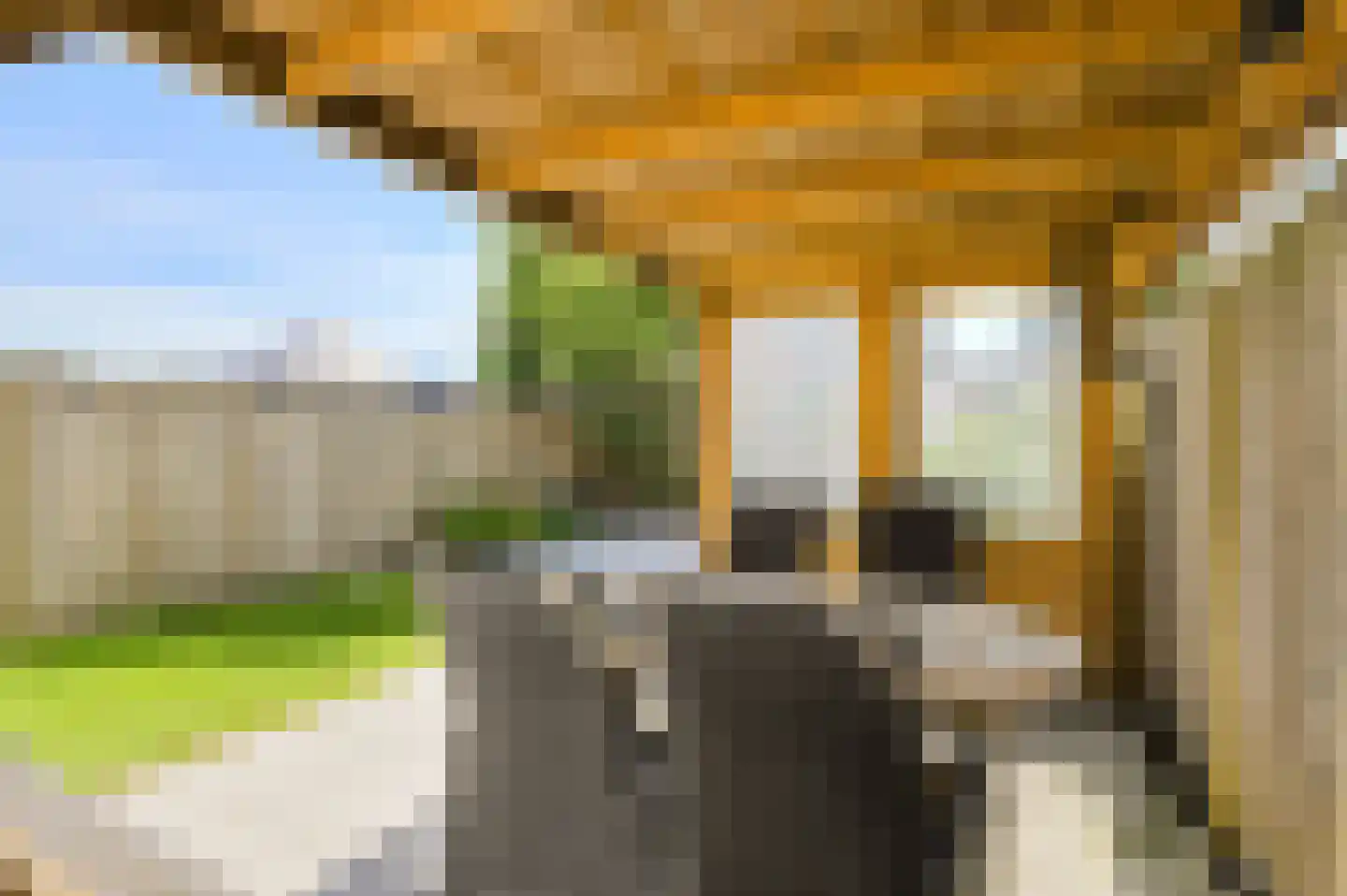 Emiel van Averbekestraat 20 Breda thumbnail 26