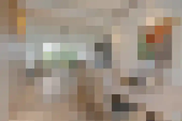 Emiel van Averbekestraat 45 Breda thumbnail 14