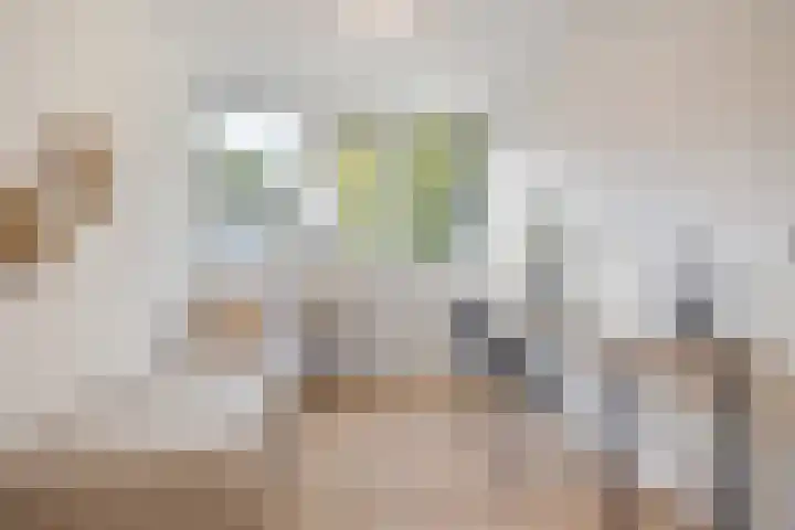 Emiel van Averbekestraat 45 Breda thumbnail 24