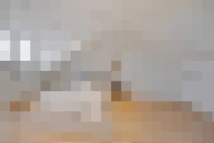Emiel van Averbekestraat 45 Breda thumbnail 33