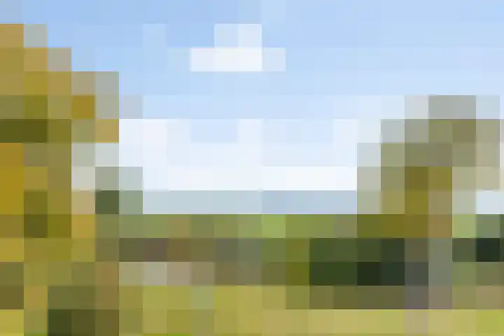 Emiel van Averbekestraat 45 Breda thumbnail 34