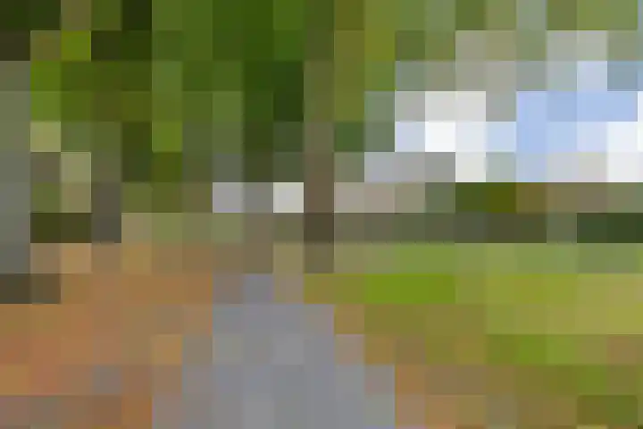 Emiel van Averbekestraat 45 Breda thumbnail 36