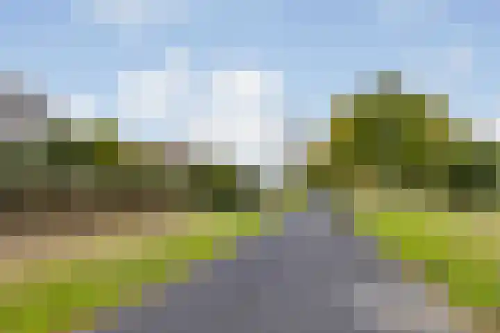 Emiel van Averbekestraat 45 Breda thumbnail 37