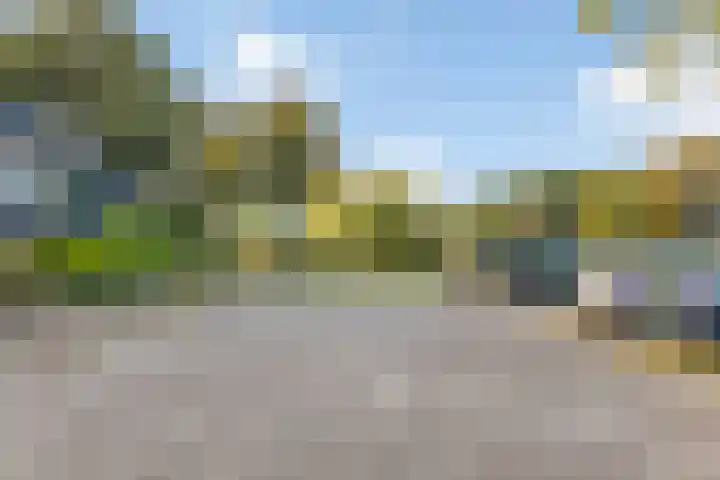 Emiel van Averbekestraat 45 Breda thumbnail 38