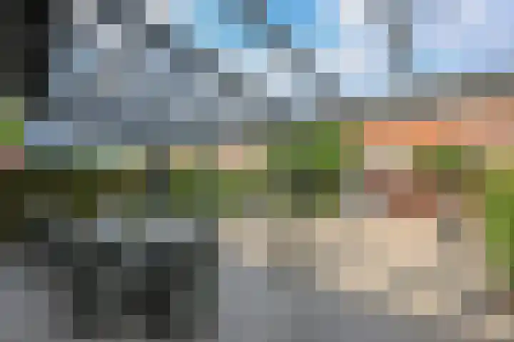 Emil Noldestraat 45 Almere thumbnail 29