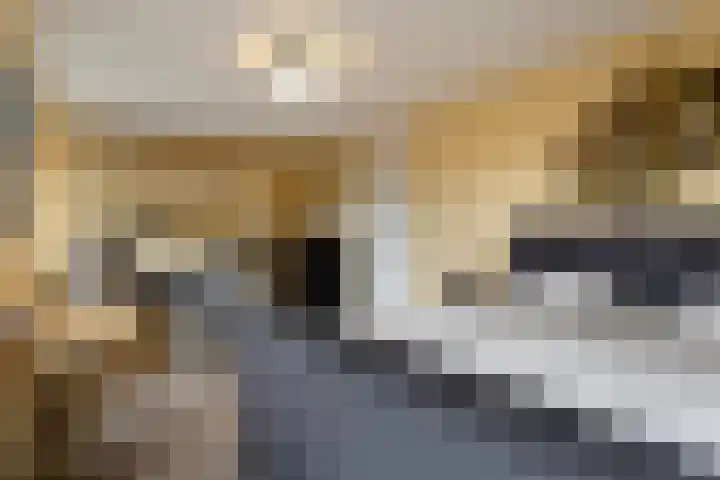 Emil Noldestraat 55 Almere thumbnail 12