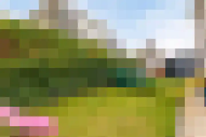 Emil Noldestraat 55 Almere thumbnail 22