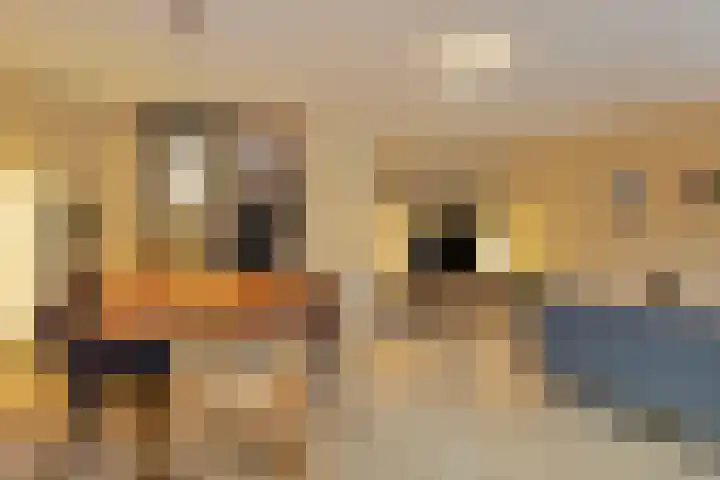 Emil Noldestraat 55 Almere thumbnail 6