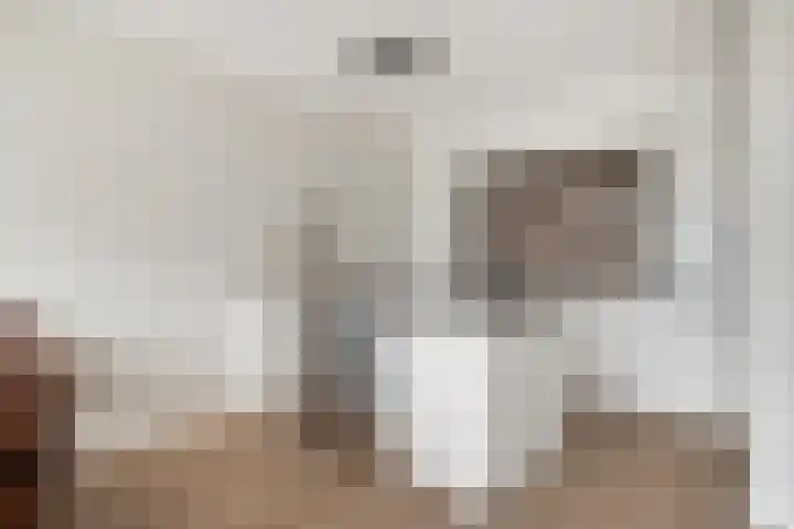 Emil Sandströmweg 35 Zierikzee thumbnail 10