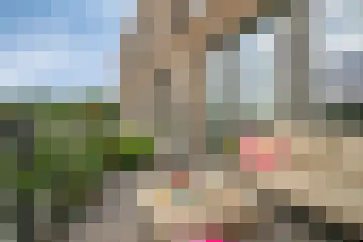 Emil Sandströmweg 35 Zierikzee thumbnail 26