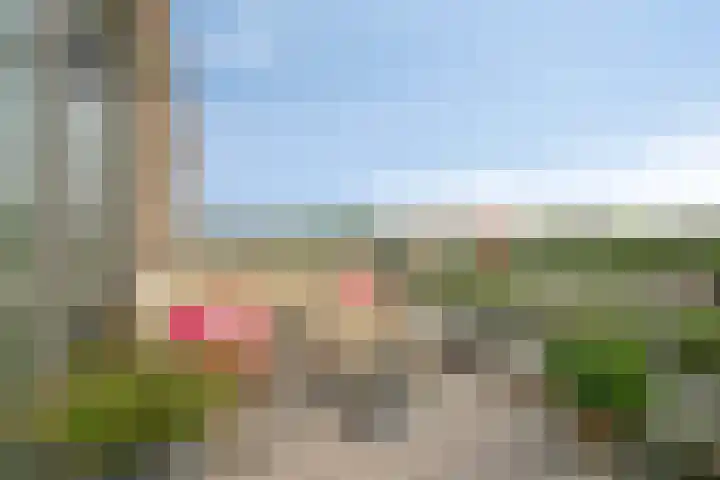 Emil Sandströmweg 35 Zierikzee thumbnail 35