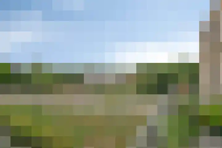 Emil Sandströmweg 35 Zierikzee thumbnail 36