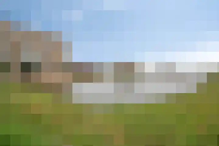 Emil Sandströmweg 35 Zierikzee thumbnail 42