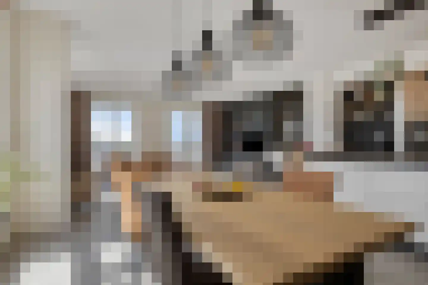 Emil Sandströmweg 49 Zierikzee thumbnail 12