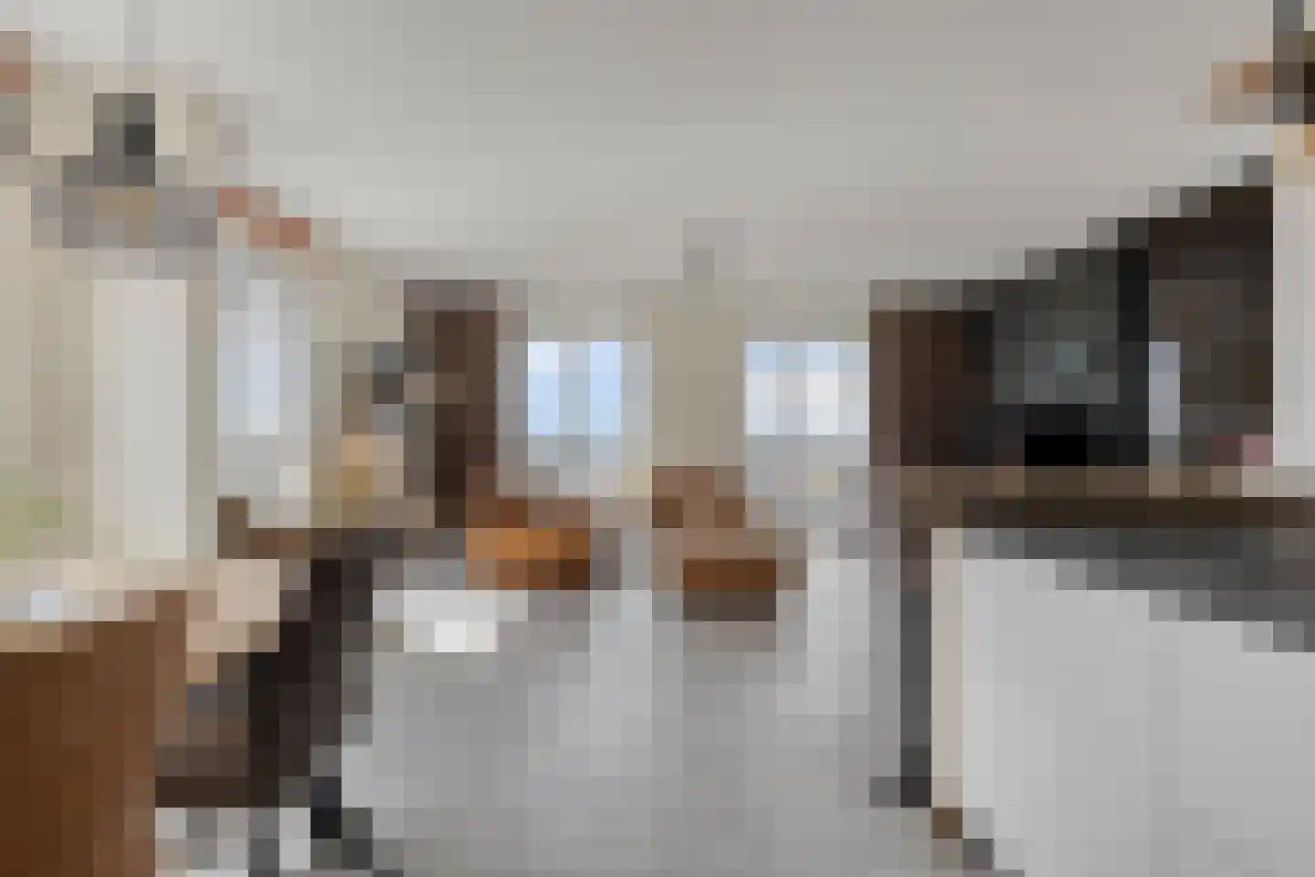 Emil Sandströmweg 49 Zierikzee thumbnail 13