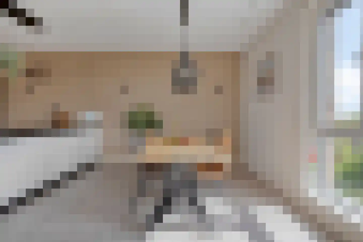 Emil Sandströmweg 49 Zierikzee thumbnail 15