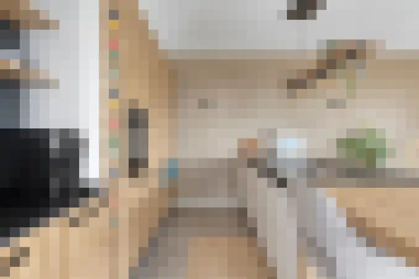 Emil Sandströmweg 49 Zierikzee thumbnail 19