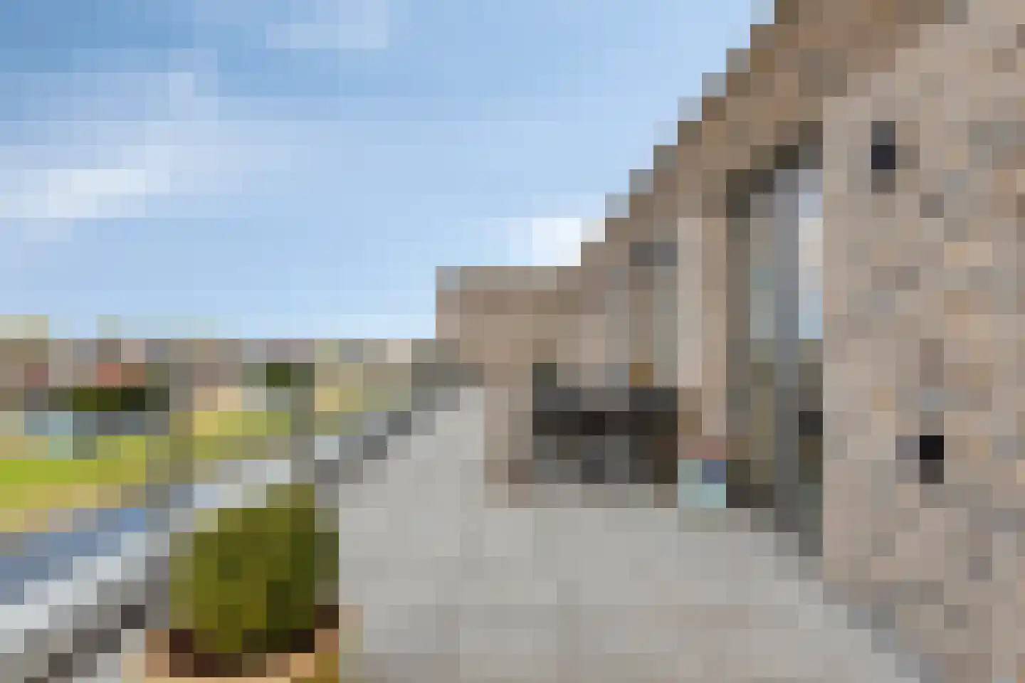 Emil Sandströmweg 49 Zierikzee thumbnail 4