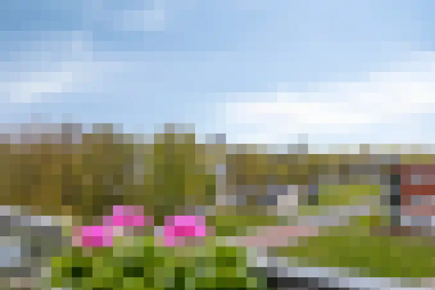 Emil Sandströmweg 49 Zierikzee thumbnail 41