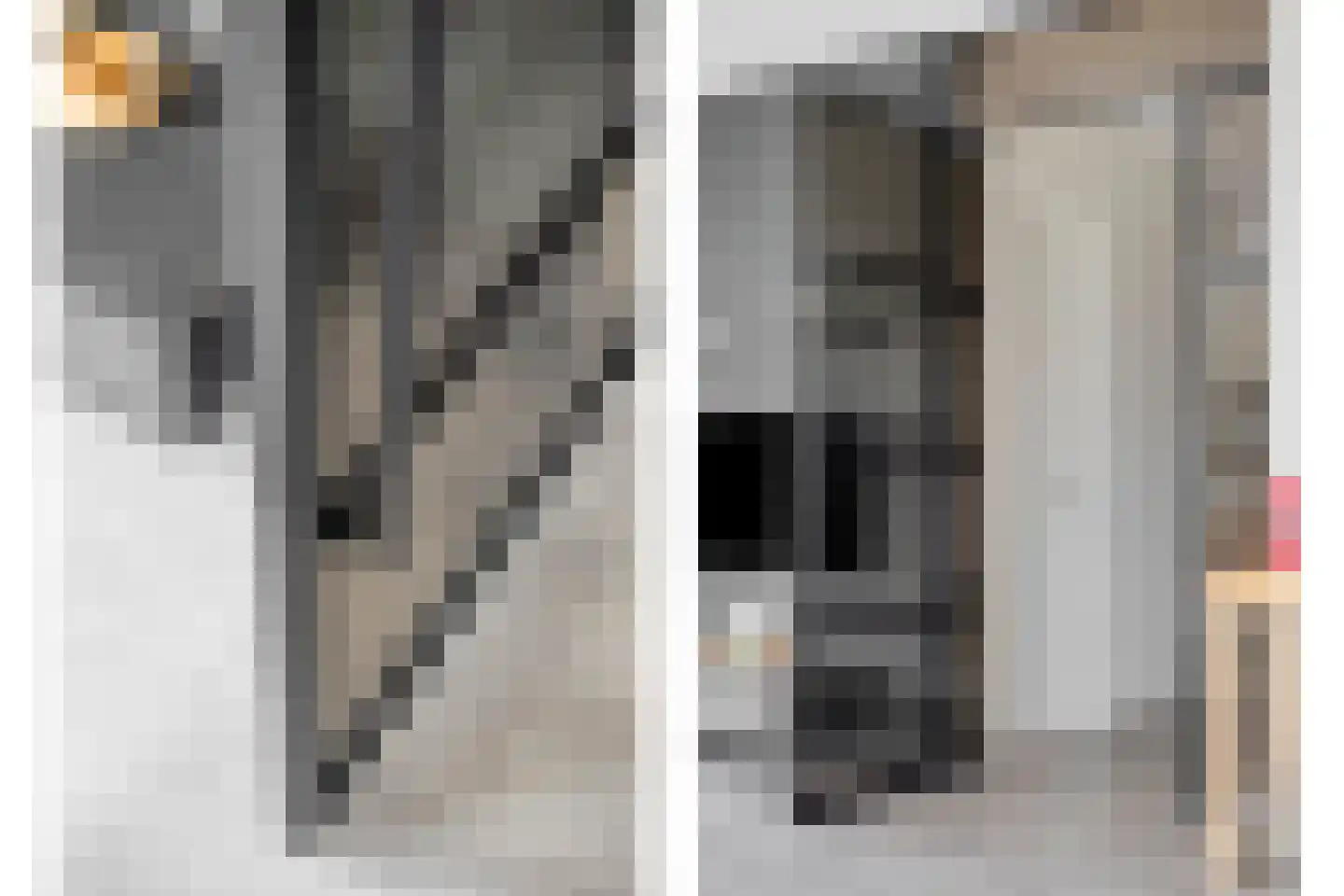 Emil Sandströmweg 49 Zierikzee thumbnail 8