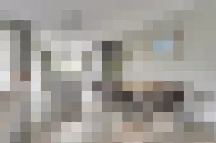 Emil Sandströmweg 5 Zierikzee thumbnail 11