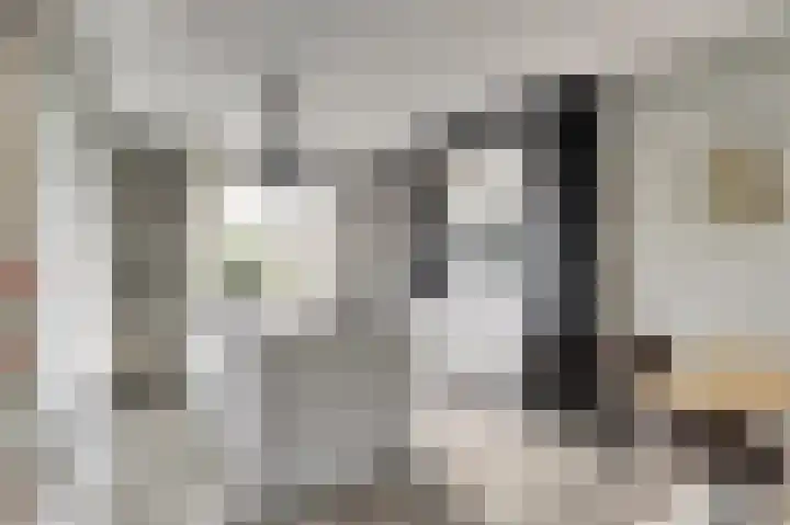 Emil Sandströmweg 5 Zierikzee thumbnail 12