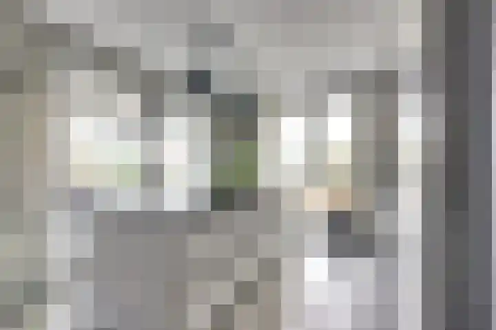 Emil Sandströmweg 5 Zierikzee thumbnail 15