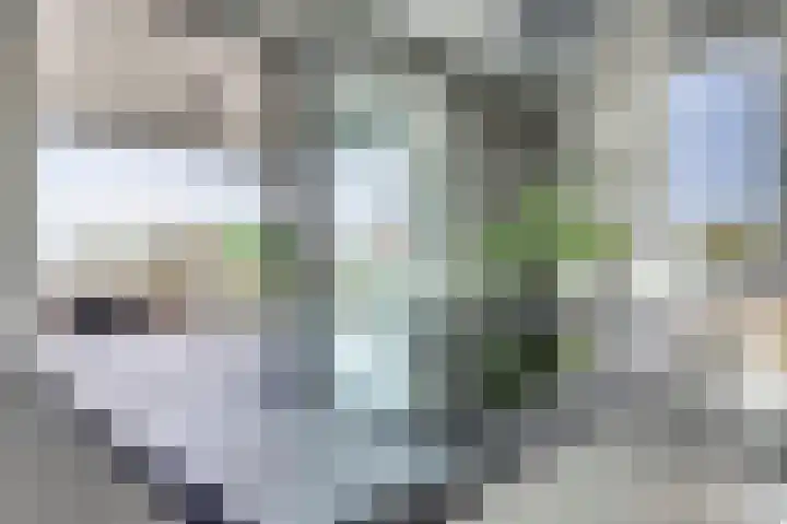 Emil Sandströmweg 5 Zierikzee thumbnail 16