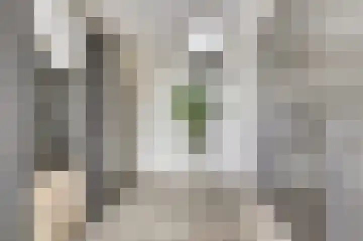 Emil Sandströmweg 5 Zierikzee thumbnail 25