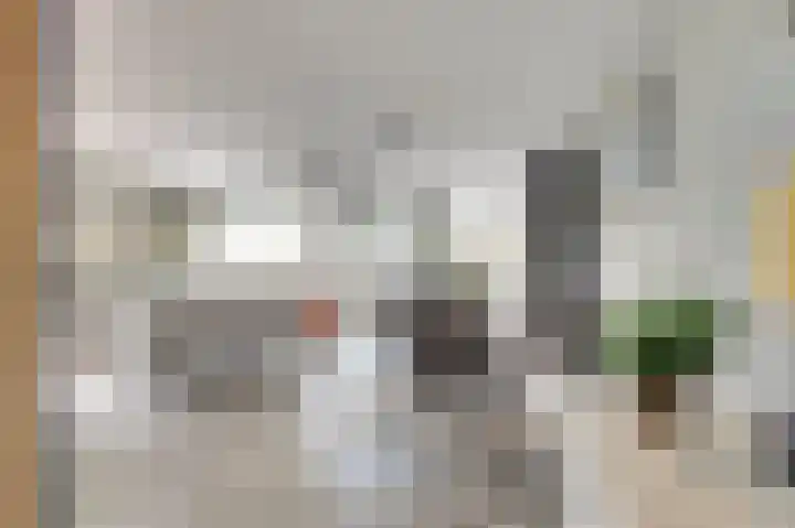 Emil Sandströmweg 5 Zierikzee thumbnail 6