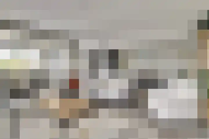 Emil Sandströmweg 5 Zierikzee thumbnail 7