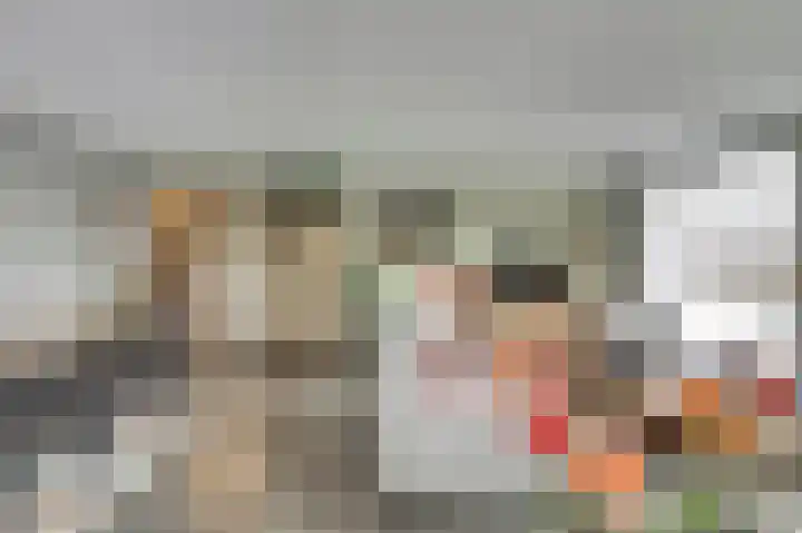 Emil Sandströmweg 5 Zierikzee thumbnail 8