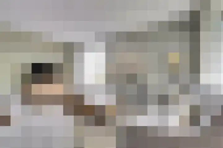Emil Sandströmweg 5 Zierikzee thumbnail 9