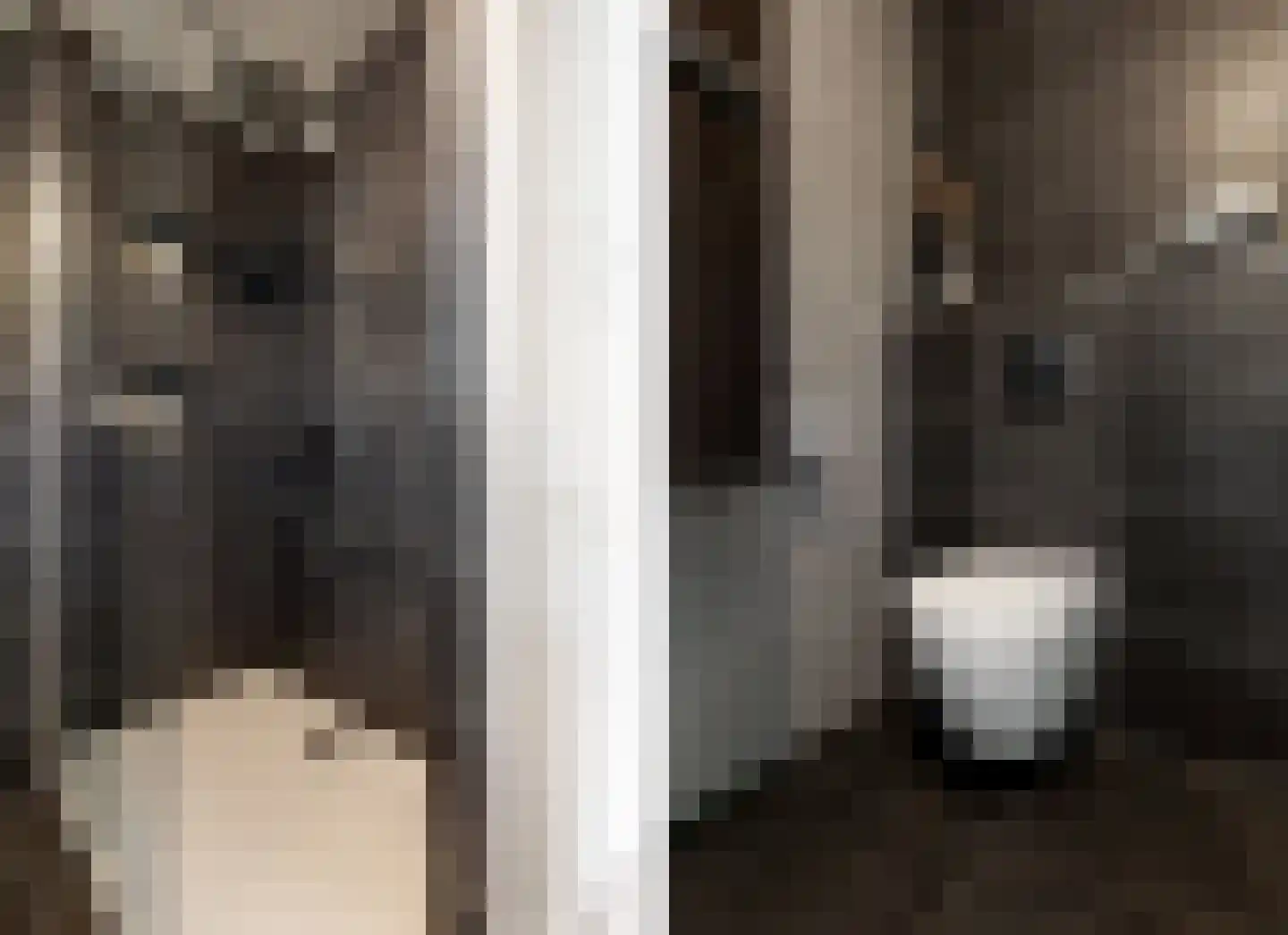 Emile Hullebroeckstraat 17 Utrecht thumbnail 20