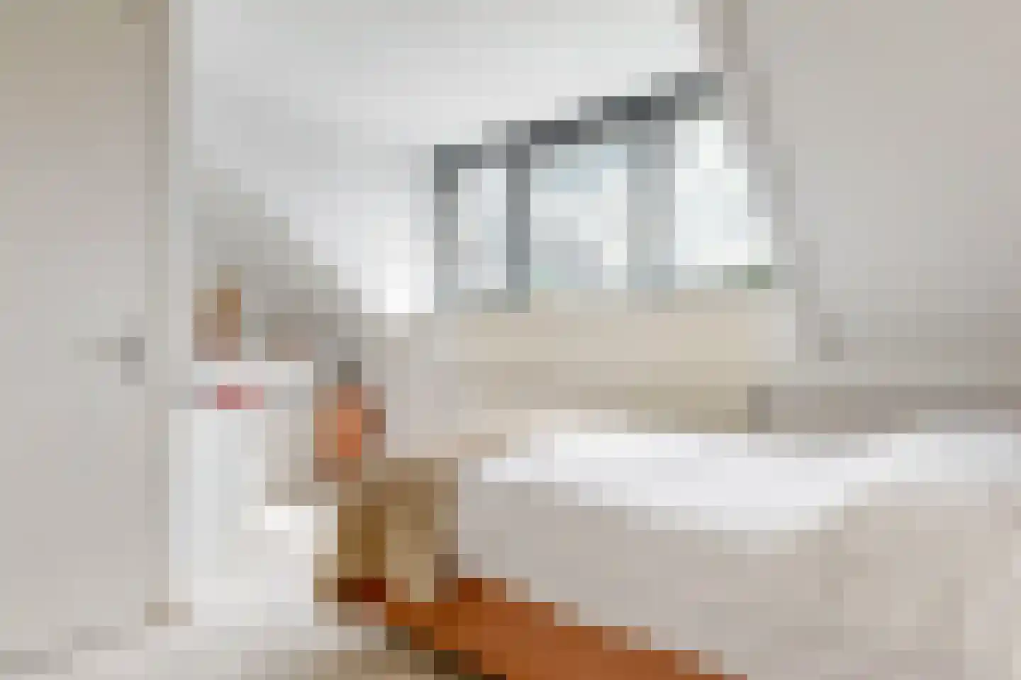 Emile Hullebroeckstraat 17 Utrecht thumbnail 24
