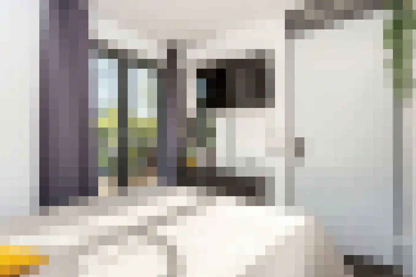 Emile Hullebroeckstraat 29 E Utrecht thumbnail 34